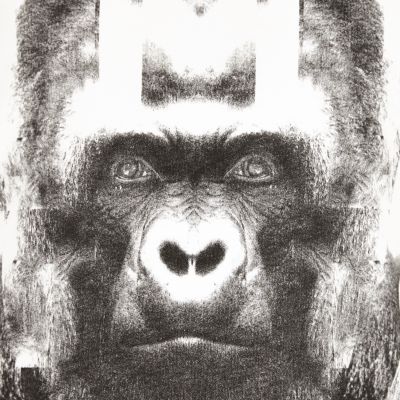Boys white gorilla print t-shirt